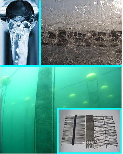 Water Purification with CarbonFiber-ecosystem、biocompatibility